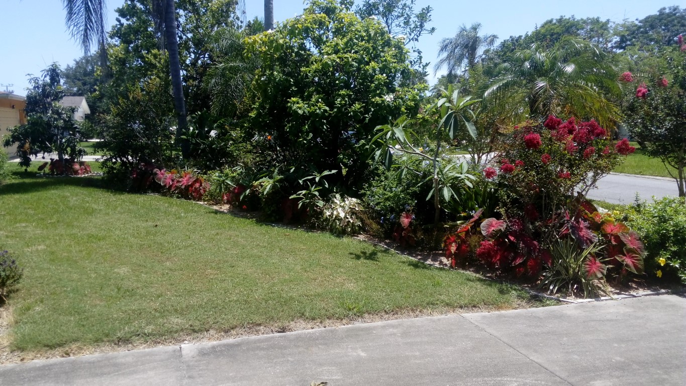 Yard Photos
